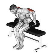 dumbbell seated kickback animation