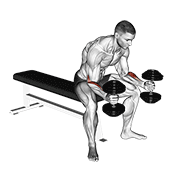dumbbell seated neutral wrist curl animation