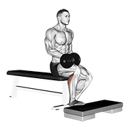 dumbbell seated one leg calf raise animation