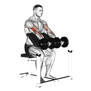 dumbbell seated preacher curl animation