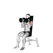 dumbbell seated shoulder press (parallel grip) animation