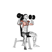 dumbbell seated shoulder press animation