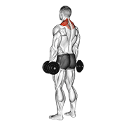 dumbbell shrug animation