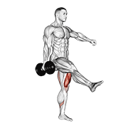 dumbbell single leg squat animation