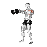 dumbbell standing alternate raise animation