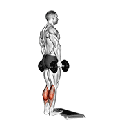 dumbbell standing calf raise animation