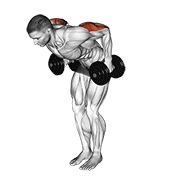 dumbbell standing kickback animation