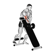 dumbbell standing one arm curl (over incline bench) animation