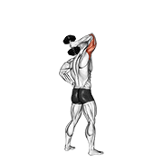 dumbbell standing one arm extension animation