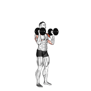dumbbell standing palms in press animation