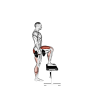 dumbbell step-up animation