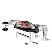 dumbbell straight arm pullover animation