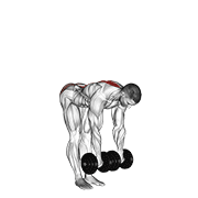dumbbell straight leg deadlift animation