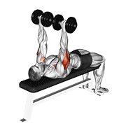 dumbbell tate press animation