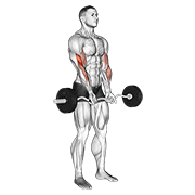 ez barbell close-grip curl animation