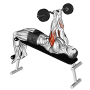 ez barbell decline close grip face press animation