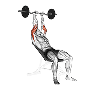 ez barbell incline triceps extension animation