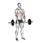 ez barbell reverse grip curl animation