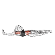 flexion leg sit up (bent knee) animation