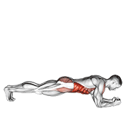 front plank with twist animation
