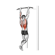 gironda sternum chin animation