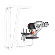 inverse leg curl (bench support) animation