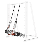 inverted row with straps animation