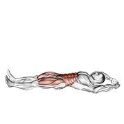 jackknife sit-up animation