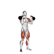 kettlebell thruster animation