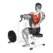 lever alternating narrow grip seated row animation