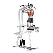 lever assisted chin-up animation