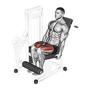 lever leg extension animation