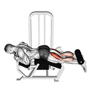 lever lying leg curl animation