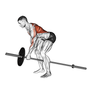 lever one arm bent over row animation
