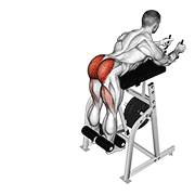 lever reverse hyperextension animation