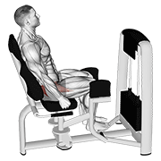 lever seated hip abduction animation