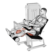 lever seated leg curl animation