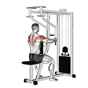 lever seated reverse fly (parallel grip) animation