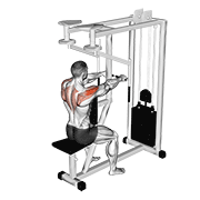 lever seated reverse fly animation