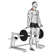 lever shrug animation