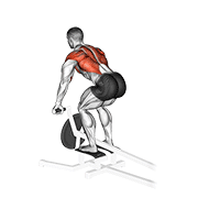 lever t bar row animation
