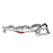 lying (side) quads stretch animation