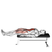 lying leg raise flat bench animation