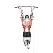mixed grip chin-up animation