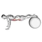 pull-in (on stability ball) animation