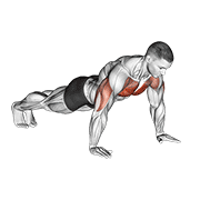push-up animation