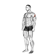 rear deltoid stretch animation