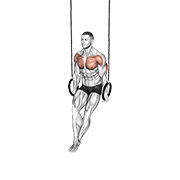 ring dips animation