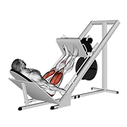 sled 45в° leg press animation