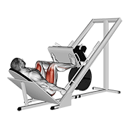sled 45в° leg wide press animation